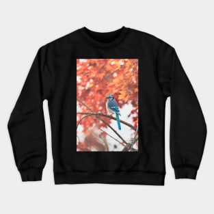 Autumnal Maple with Blue Jay Crewneck Sweatshirt